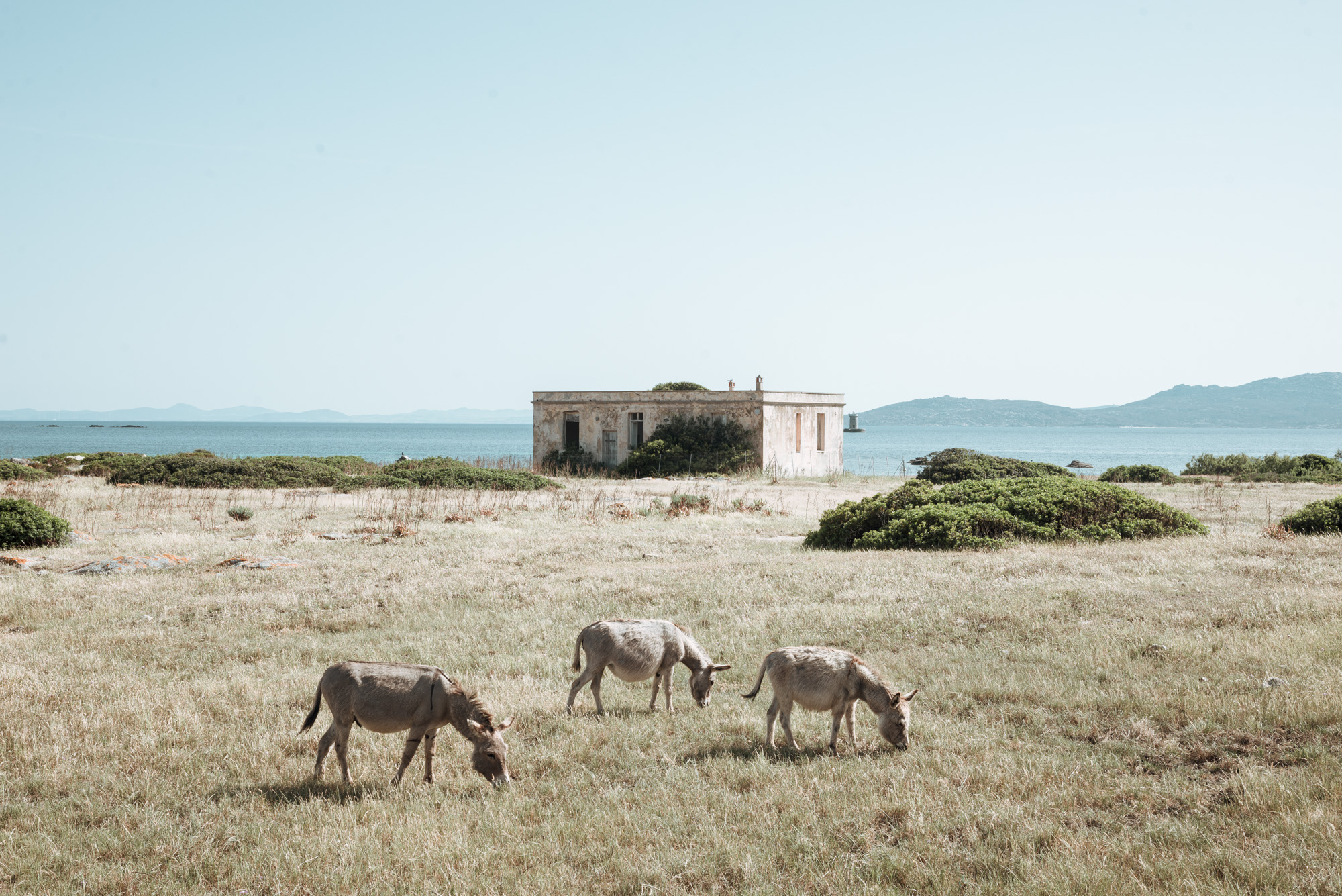 MP Preview Site Web 1