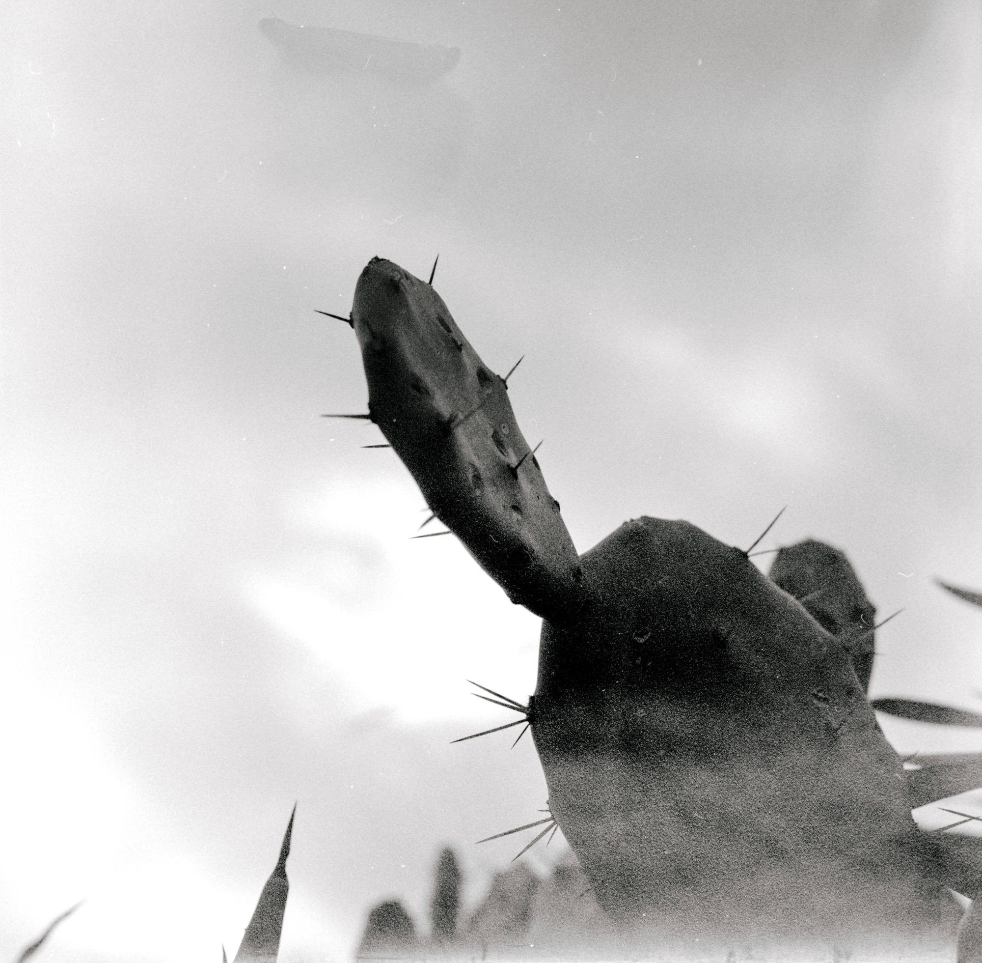 MP Preview Site Web 15